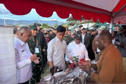 Wapres Gibran pastikan "quick wins" berjalan optimal di Papua Pegunungan