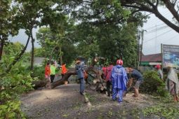 BPBD Magetan catat 238 bencana alam selama 2025