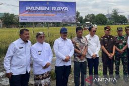 Menteri Imipas: Hasil panen raya dimanfaatkan untuk kegiatan sosial dan terdampak bencana