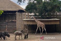 Masa depan Bandung Zoo ditentukan dua bulan lagi