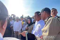 Negara hadir rehabilitasi 98 ribu ha sawah bencana Sumatera