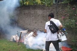 Dinkes Lampung Selatan lakukan upaya untuk memutus penyebaran DBD