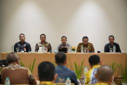 Pemkab Tapin rancang BUMD RMU guna tingkatkan nilai beras lokal