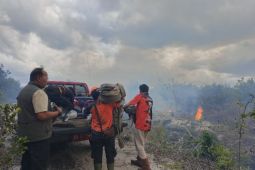 Karhutla di Kotim hanguskan enam hektare lahan