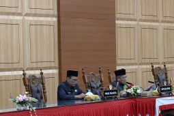 DPRD Palangka Raya bentuk pansus bahas LHP BPK RI semester II 2025