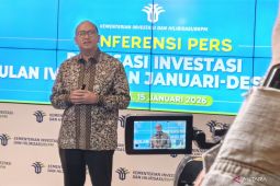 Rosan sebut EBT hingga waste to energy sektor potensial di 2026
