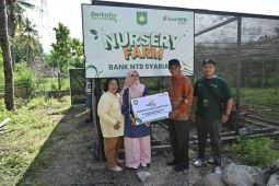Bank NTB Syariah perkuat program Sumbawa Hijau lewat bantuan kebun bibit