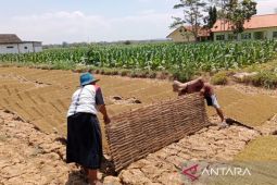 Pamekasan beri perlindungan Jamsostek 1.724 pekerja rentan