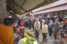 Kemendagri dorong rencana induk kebutuhan pangan di Papua Pegunungan
