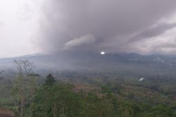Gunung Semeru kembali luncurkan awan panas guguran sejauh 4 kilometer