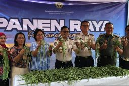 Lapas Ambon gencarkan pembinaan pertanian wujud ketahanan pangan