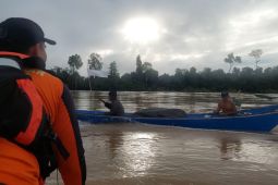 SAR gabungan temukan korban kecelakaan di Sungai Belayan Kaltim