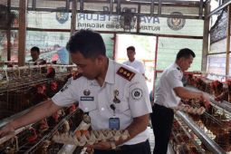 Warga binaan Rutan Negara di Bali sumbang telur untuk korban bencana