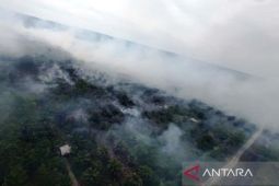 Belum selesai penanganan bencana banjir, Aceh Barat kini hadapi kebakaran lahan