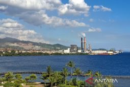 UNIDO: Kawasan  IWIP strategis bagi industri nikel global