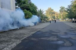 Kasus DBD sepanjang 2025 di Mataram turun