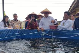BRIN kembangkan inkubator telur ikan nila untuk percepat pembenihan