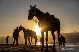 Komite Gaza diumumkan, Trump pimpin arah transisi kekuasaan