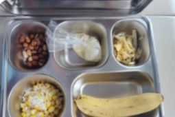 Miskonsepsi susu untuk MBG, menafsir ulang gizi dalam kebijakan publik