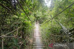 Kalimantan Timur pertahankan tutupan hutan 62 persen