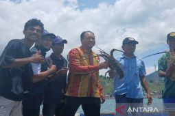Produksi Rumput Laut dan Lobster Dompu 2025 turun
