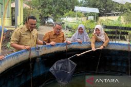 Pemkot Cirebon mulai uji coba budidaya udang vaname salinitas rendah