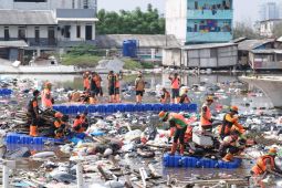 DLH DKI angkut 137 ton sampah dari kawasan pesisir Tanggul Laut Muara Baru Jakarta