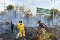 Dua lokasi karhutla berhasil dipadamkan UPTD Damkar Tanjung Uban