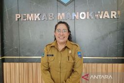 546 honorer Manokwari masuk tahap akhir verifikasi pengangkatan ASN