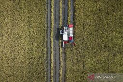 Menyambut panen raya 2026