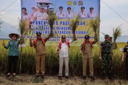 Panen Raya di Karo tegaskan dukungan pemerintah soal swasembada pangan