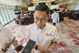 OJK: Kredit investasi di Kalteng capai Rp13,83 triliun