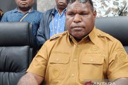 Pemkab-Dekranasda kolaborasi perkuat pelestarian budaya Jayawijaya