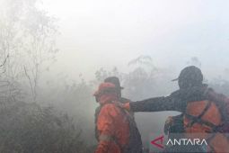 Kebakaran lahan di Aceh Barat meluas jadi sembilan hektare