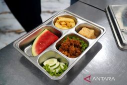 Indonesia's free meals boost health, spur school attendance: BGN