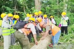 228 mahasiswa Fakultas Kehutanan ULM laksanakan praktik di PeFI Madiun