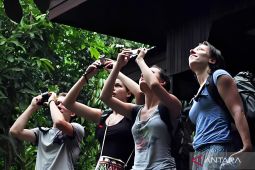 658 wisawatan mancanegara kunjungi Taman Nasional Kutai selama 2025