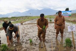 Pemkab Kerinci kelola lahan terbengkalai gerakkan sektor pertanian