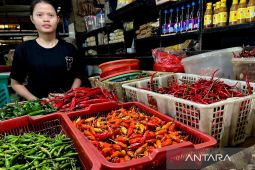 Harga pangan Rabu ini, cabai rawit merah Rp48.600/kg dan telur ayam Rp33.700/kg