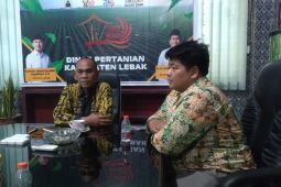 Dinas Pertanian Lebak catat 269 hektare sawah terendam banjir