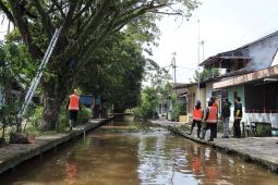 Dinas PUPR Pontianak rutin tindaklanjuti aduan warga soal perawatan pohon