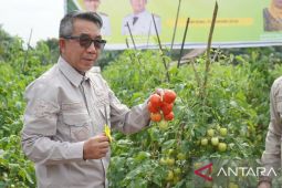 Pemkab Kutim Komitmen Bina Petani Hortikultura