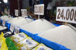 Ikan laut naik, telur dan cabai turun harga, beras relatif stabil di Bengkulu