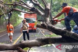 NTB dilanda banjir dan angin kencang akibat cuaca ekstrem
