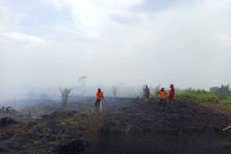 PKH Kalimantan tingkatkan kesiapsiagaan karhutla di Kalbar