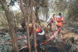BNPB pastikan tidak ada korban dalam karhutla di Kotawaringin Barat