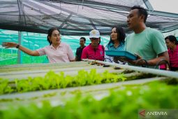 PKK Badung genjot ketahanan pangan keluarga