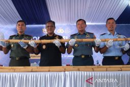 Bea Cukai gagalkan penyelundupan rotan ilegal