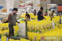 Bulog salurkan 20.567 ton beras SPHP ke seluruh Papua pada Januari 2026