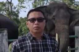 BKSDA Jambi rencanakan PIKG jadi destinasi wisata edukasi alternatif